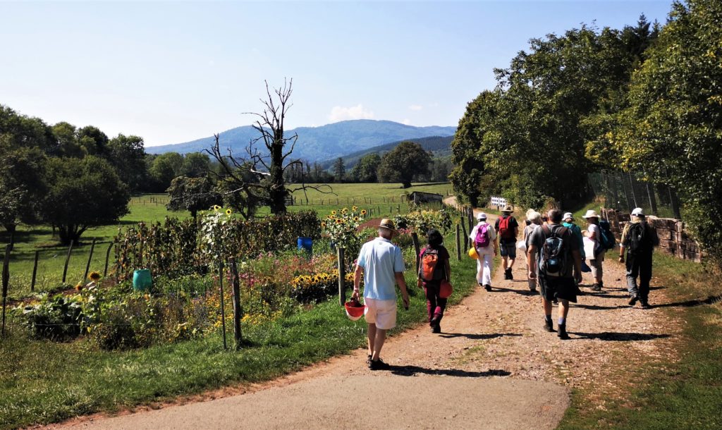 Sentier géologique-Sentheim-Balade