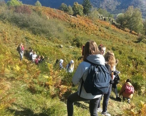 Terminales-sortie scolaire-Fellering-Ophiolites